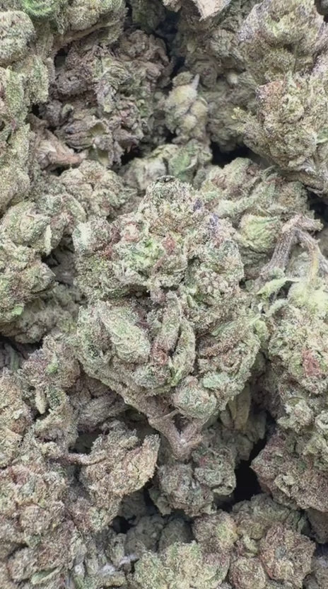 God's Gift - Bulk - Indica