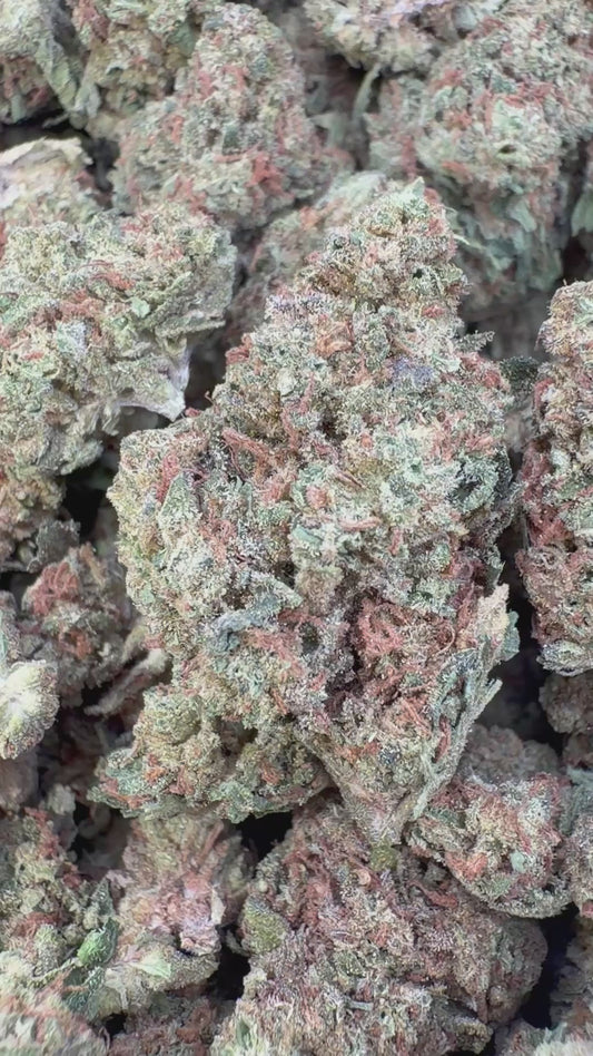 Fire OG Minis - Bulk Minis - Indica