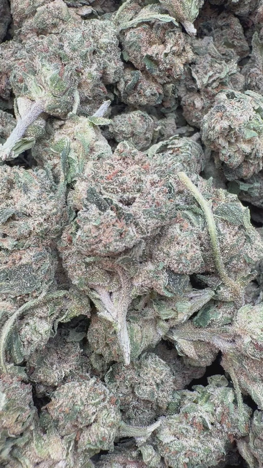 Jokerz - Bulk - Indica
