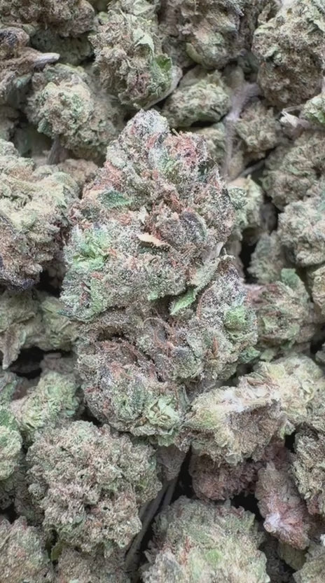 Mochi Gelato - Bulk - Indica