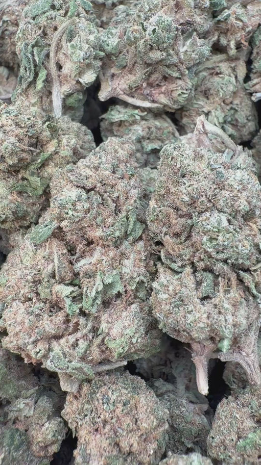 Lemonatti - Bulk - Sativa