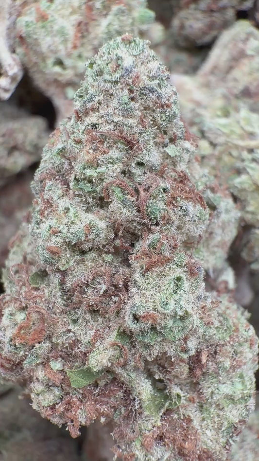 Blue Punch - Bulk - Indica
