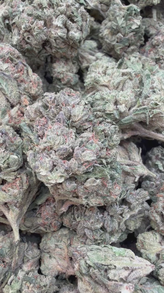 Hash Plant - Bulk- Indica