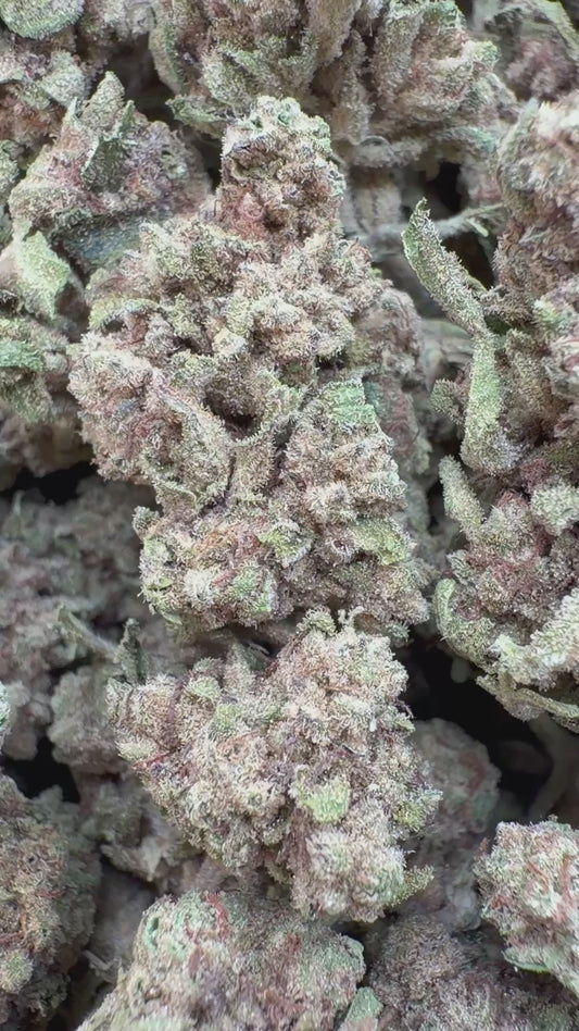 Cookies and Cream - Bulk - Hybrid