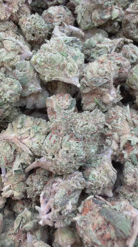 Pink Runtz Minis - Bulk Minis - Hybrid