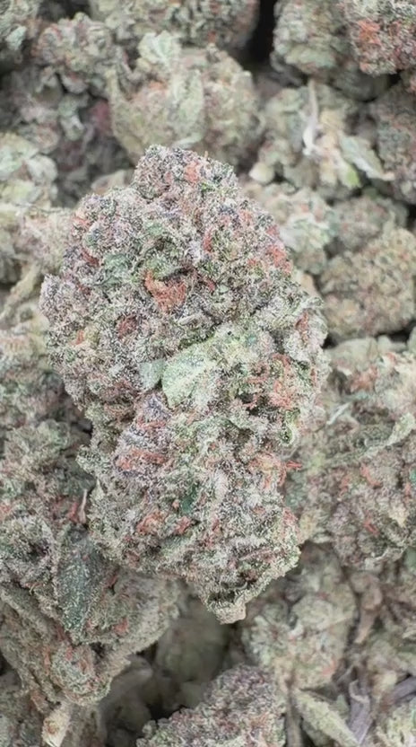 Nimbus Snacks - Bulk - Hybrid