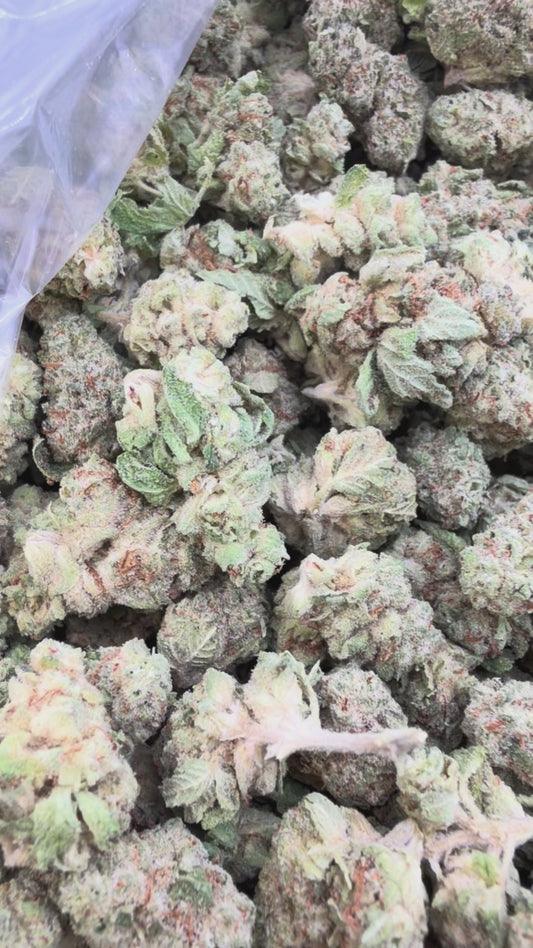 Pop Cherry Minis - Bulk Minis - Hybrid