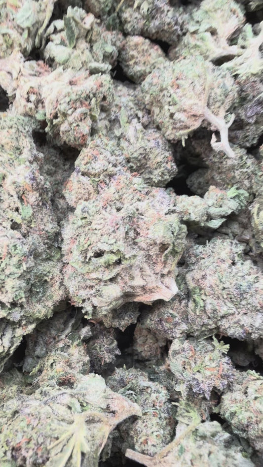 Strawberry Gelato - Bulk - Hybrid
