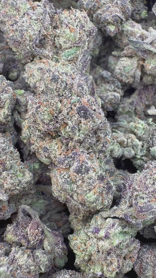 Blue Dream Indoor - Bulk - Sativa