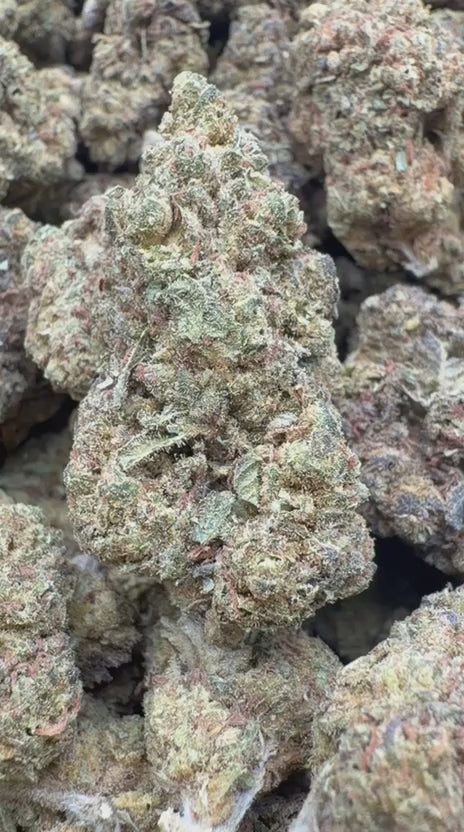 Acapulco Gold - Bulk - Sativa