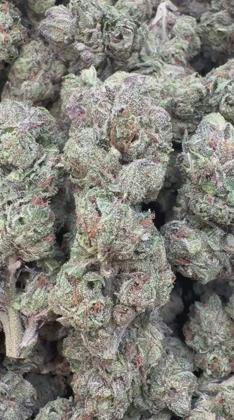 Candy Runtz - Bulk - Hybrid