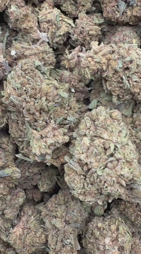 Acapulco Gold - Bulk - Sativa