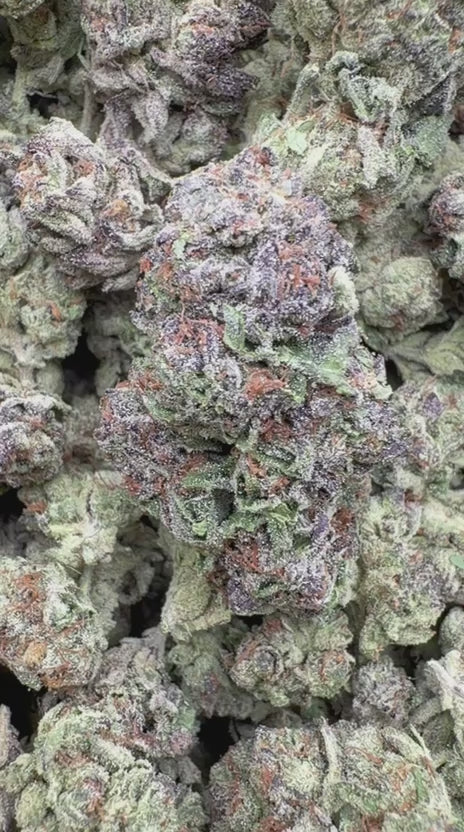 Black Cherry Runtz - Bulk - Indica