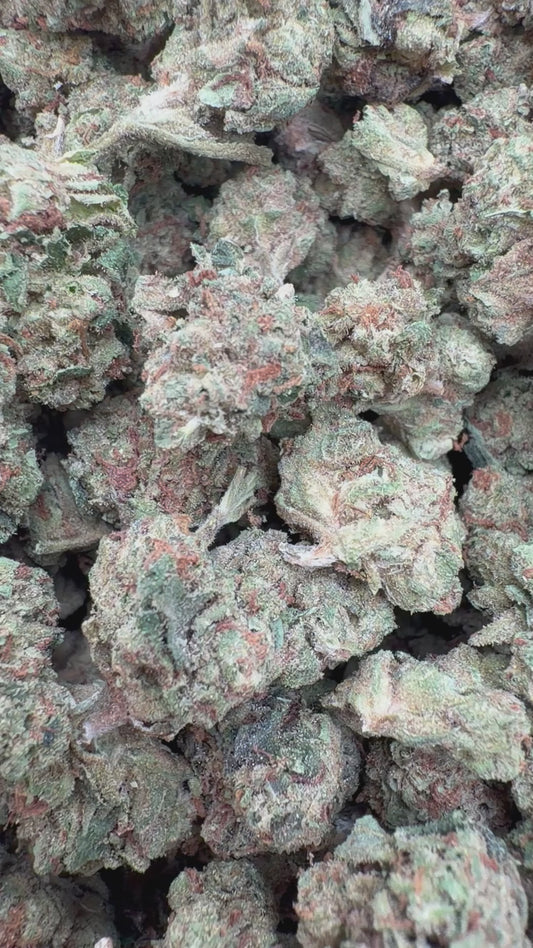 Bruce Banner Minis - Bulk Minis - Hybrid