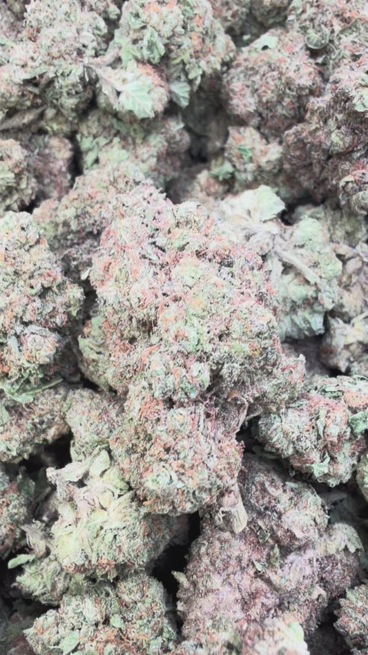 Ice Cream Cake - Bulk - Indica