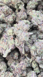Black Cherry Runtz - Bulk - Indica