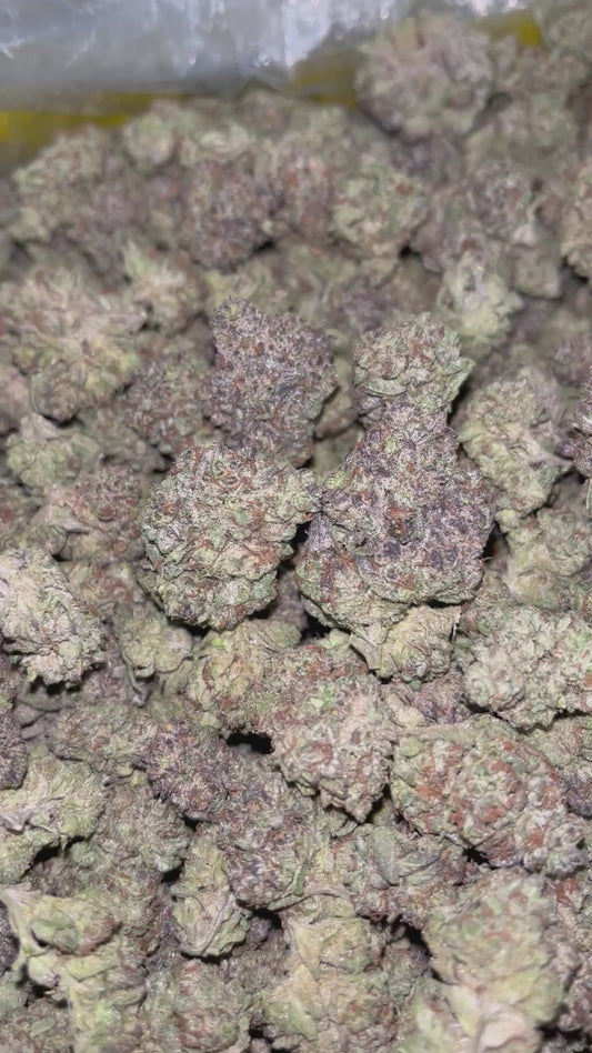 Cakemera - Bulk - Indica