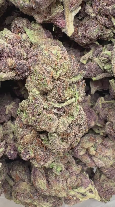 Granddaddy Purple - Bulk - Indica