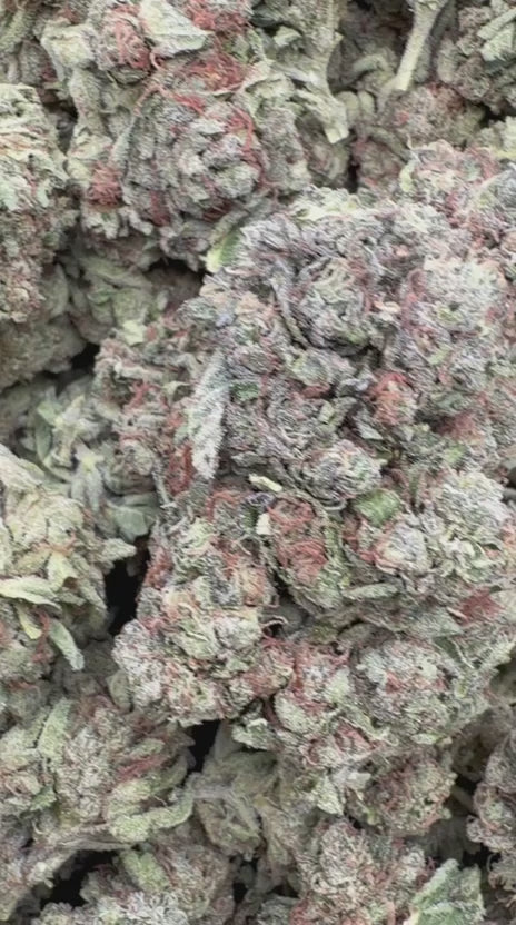 NYC Sour Diesel - Bulk - Sativa