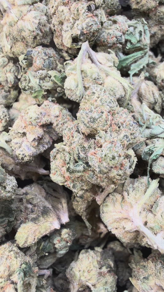 Gelatti Mediums - Bulk Mediums - Hybrid