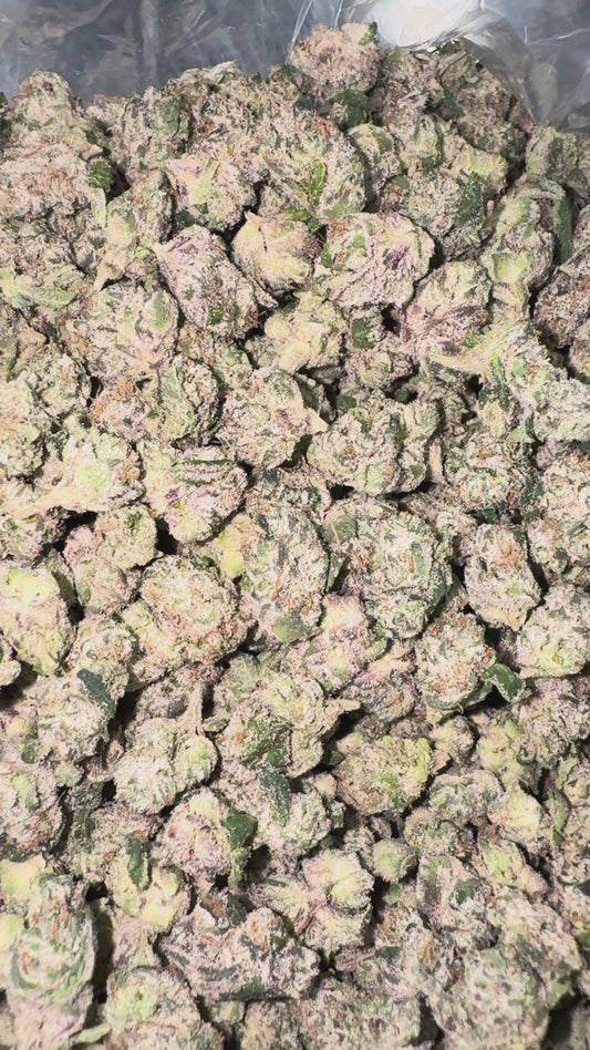 Boutique Exotics Berry Pop Minis - Bulk Minis - Hybrid