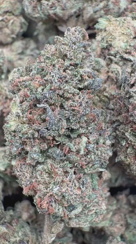 Bruce Banner - Bulk - Hybrid