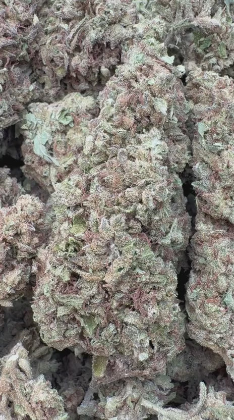 Caramel Apple - Bulk - Hybrid
