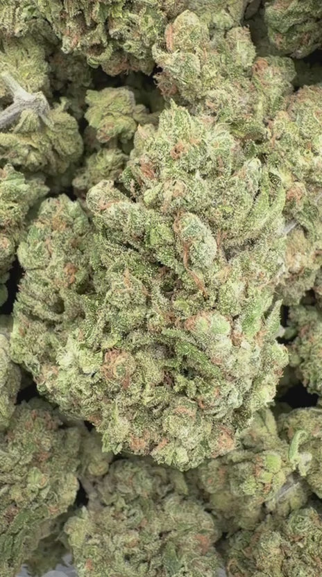 Double Dream - Bulk - Sativa