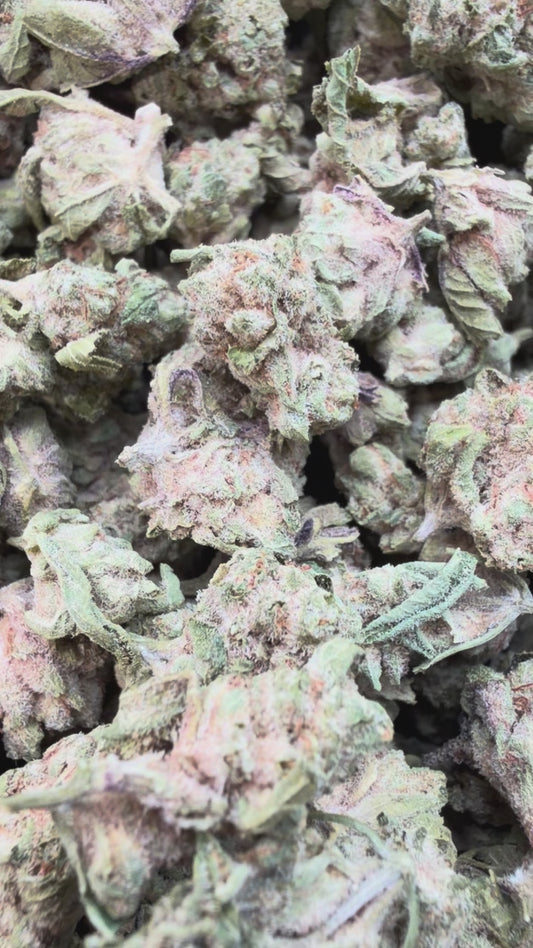 Modified Mintz Minis - Bulk Minis - Indica