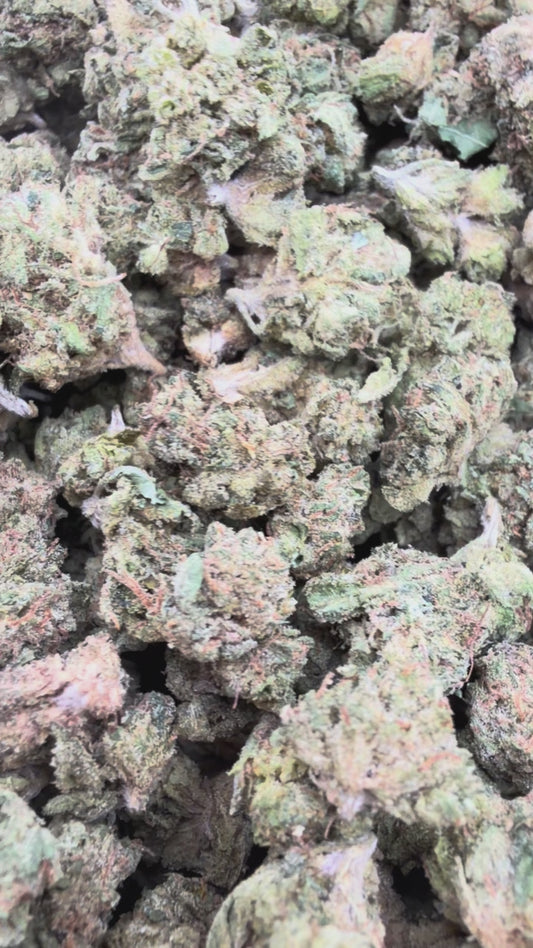 Blue Runtz Minis - Bulk Minis - Hybrid