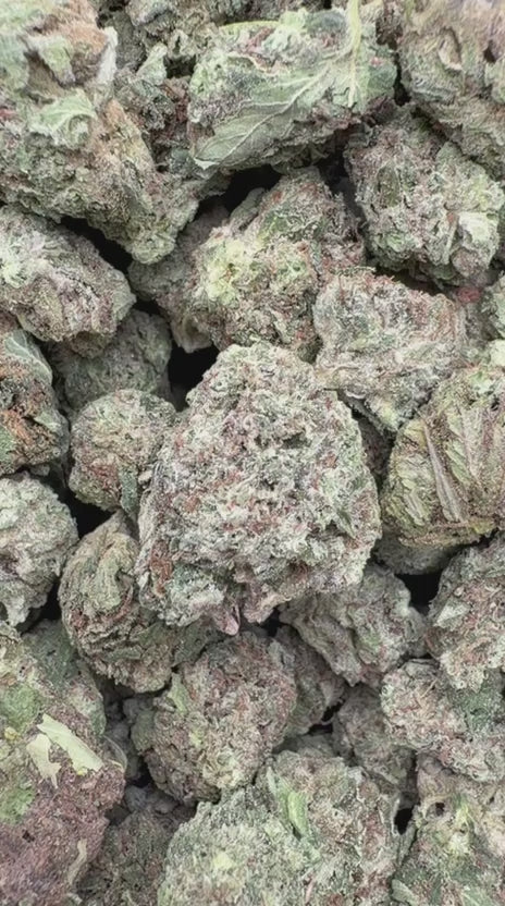 Key Lime Pie Mediums - Bulk Mediums - Indica