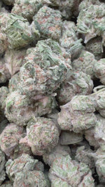 DJ Short Blueberry Mediums - Bulk Mediums - Indica