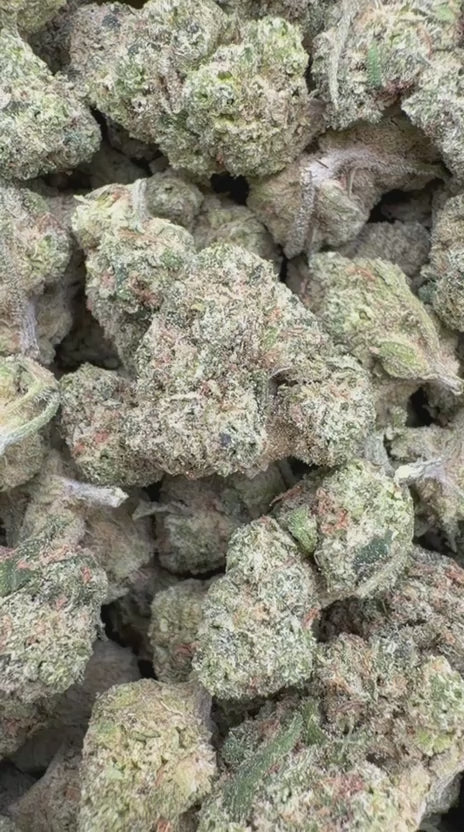 Double Dream Mediums - Bulk Mediums - Sativa