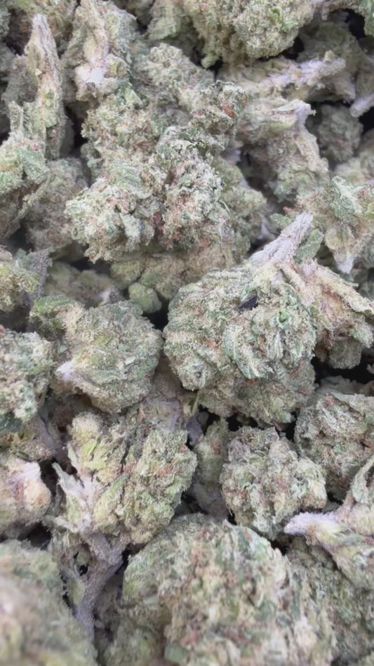 Oakland Runtz Minis - Bulk Minis - Hybrid