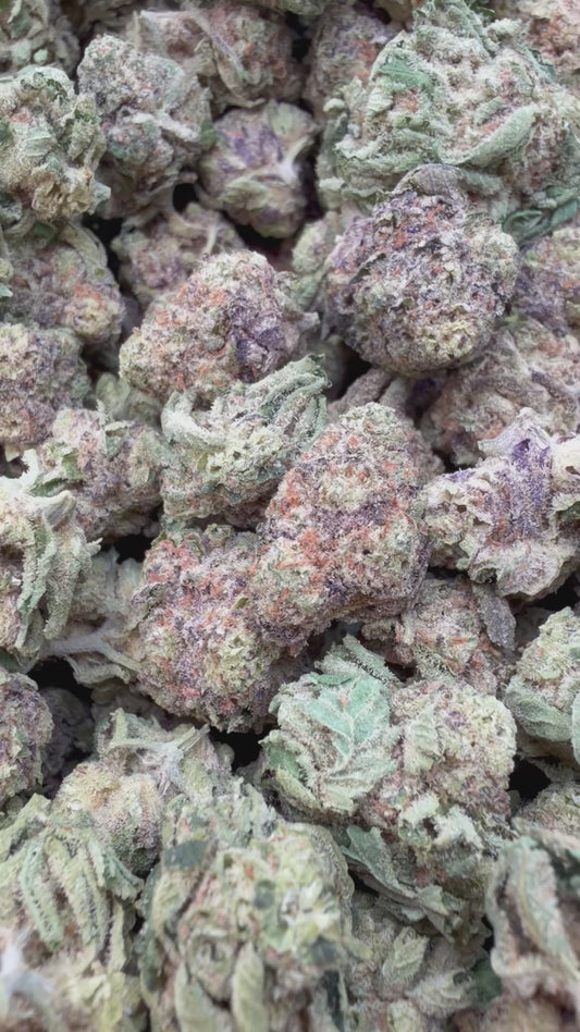 Pink Certz Mediums - Bulk Mediums - Indica
