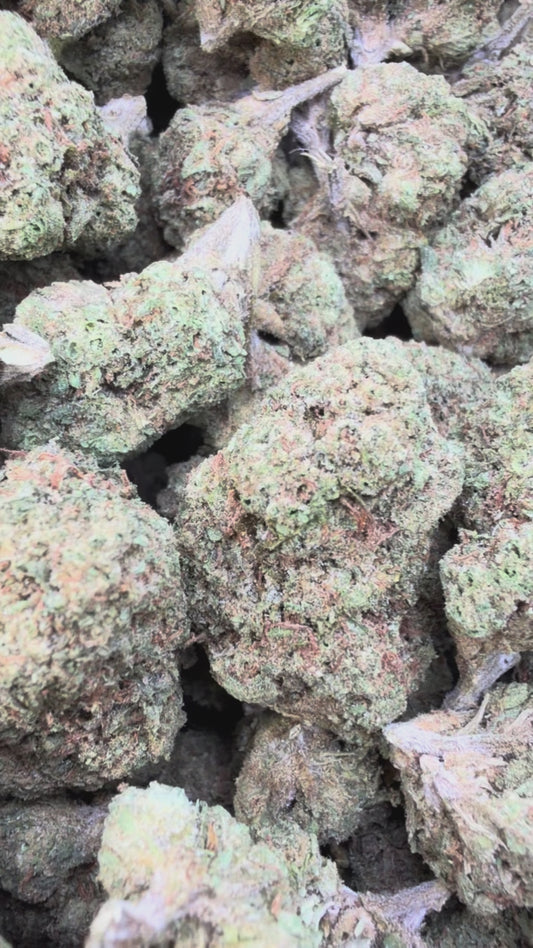 Space Runtz Mediums - Bulk Mediums - Hybrid