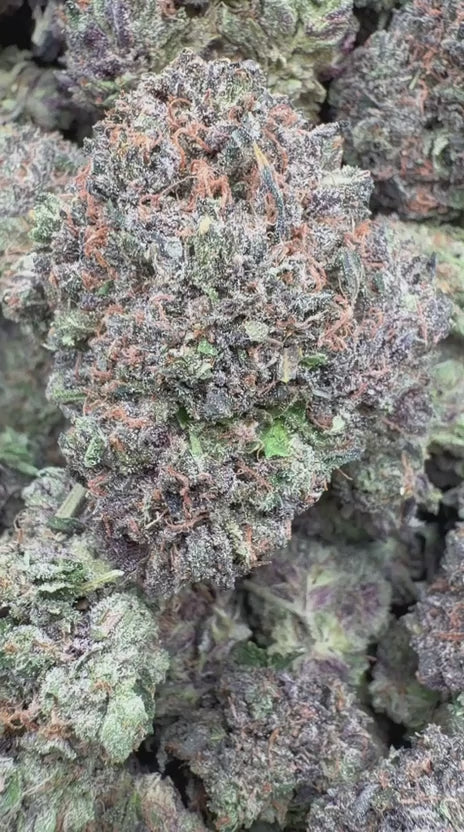 Jolly Ranchers Indoor - Bulk - Indica