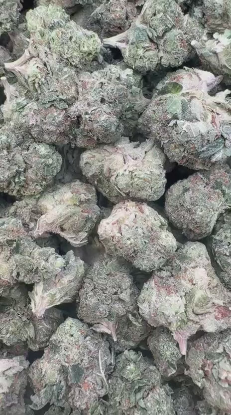 Pave Pop Mediums - Bulk Mediums - Hybrid