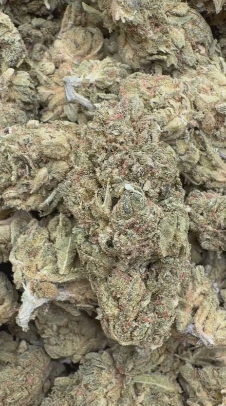 Banjo - Bulk - Sativa