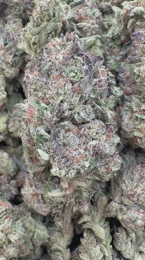 Ice Cream Cake - Bulk - Indica