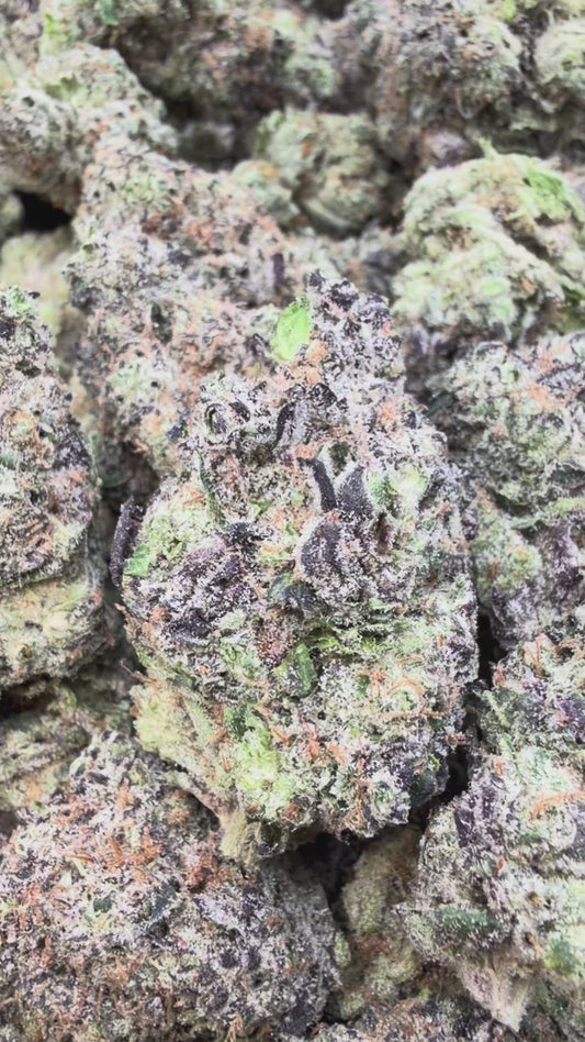 Hashburger Indoor - Bulk - Indica