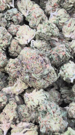 X Mas Mediums - Bulk Mediums - Indica