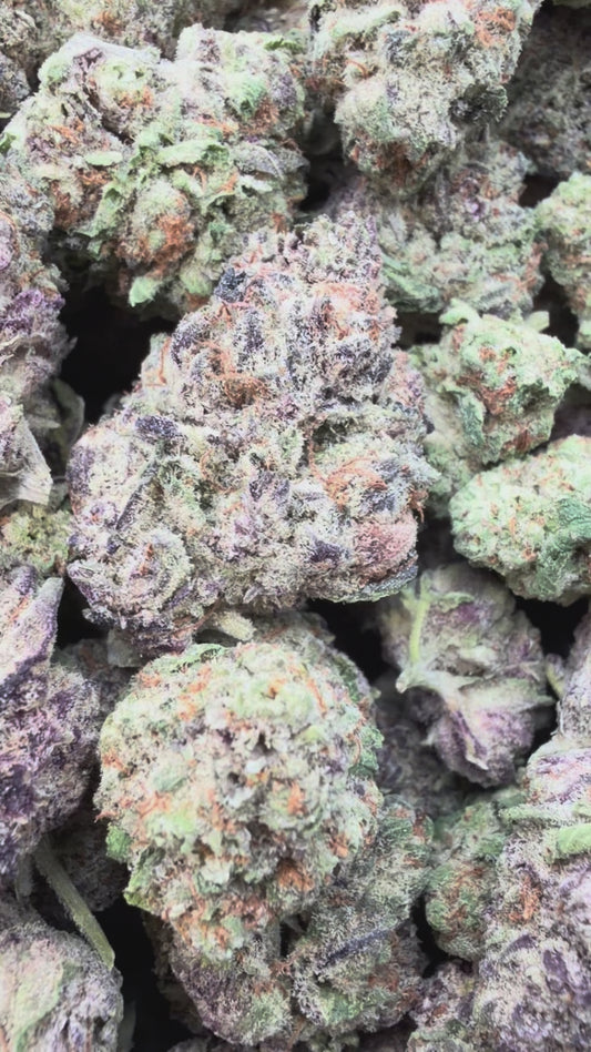 Purple Punch - Bulk - Indica