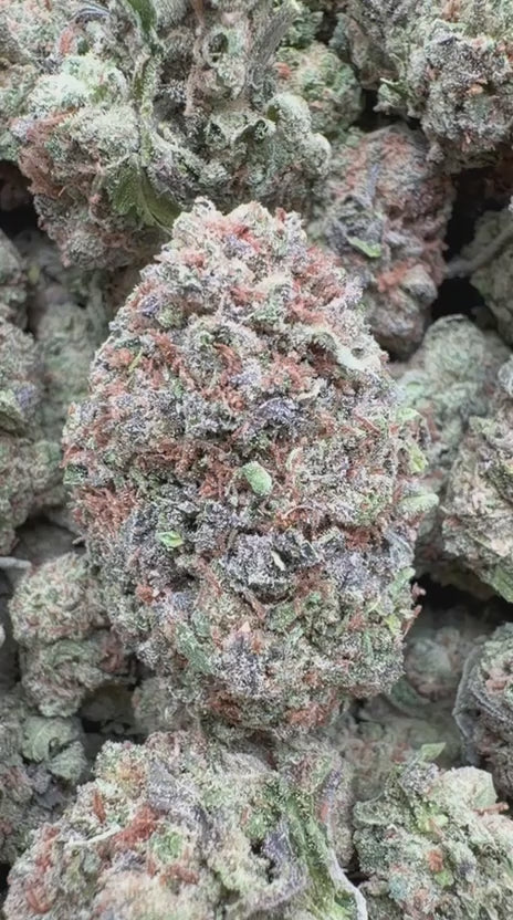 Watermelon Runtz - Bulk - Indica