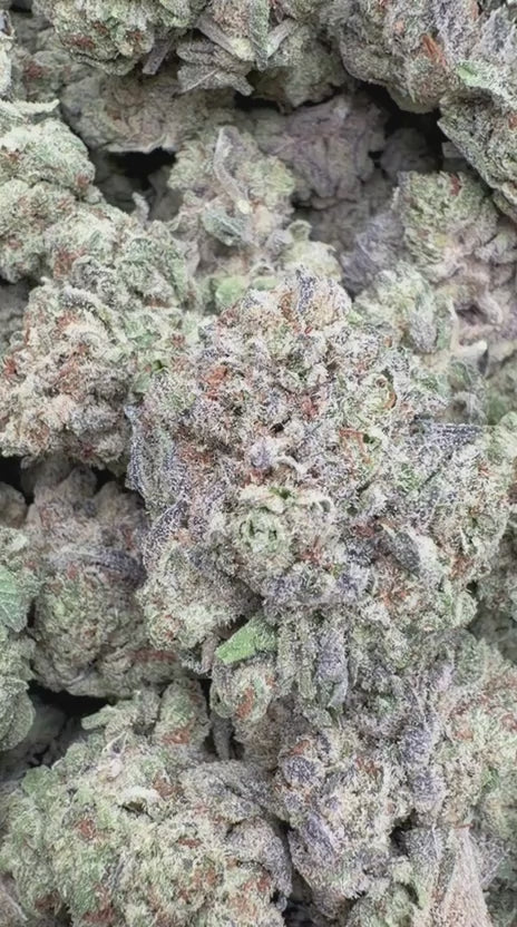 Truffle - Bulk - Indica
