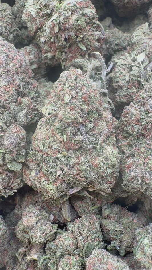 Candy Runtz - Bulk - Hybrid