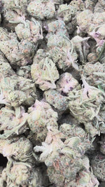 Apple Fritter Mediums - Bulk Mediums - Hybrid
