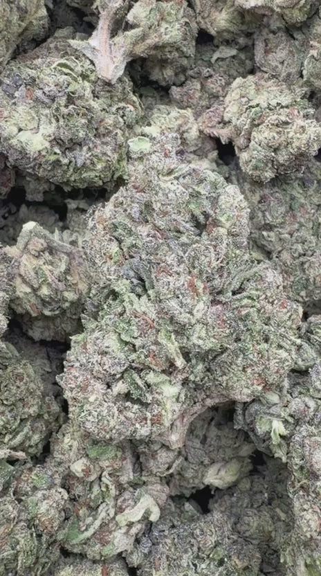 Purple Sherbet - Bulk - Indica