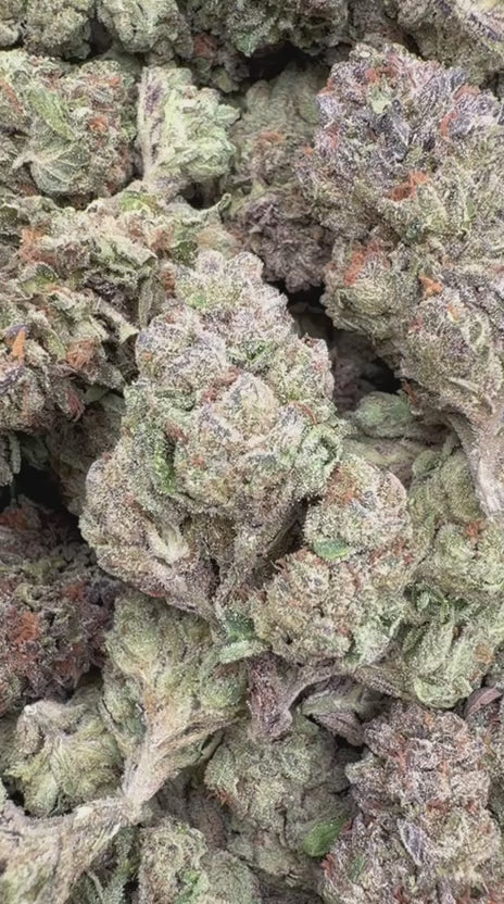 LA Runtz - Bulk - Hybrid