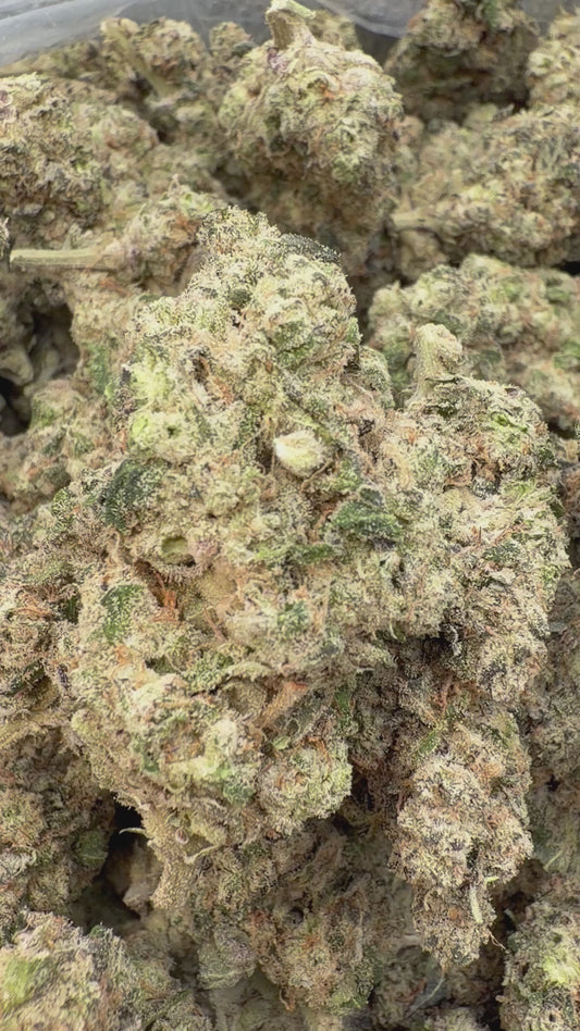 Han Solo Burger Indoor - Bulk - Indica